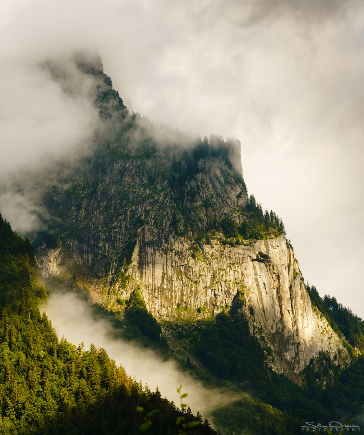 Hiding giant, Austria