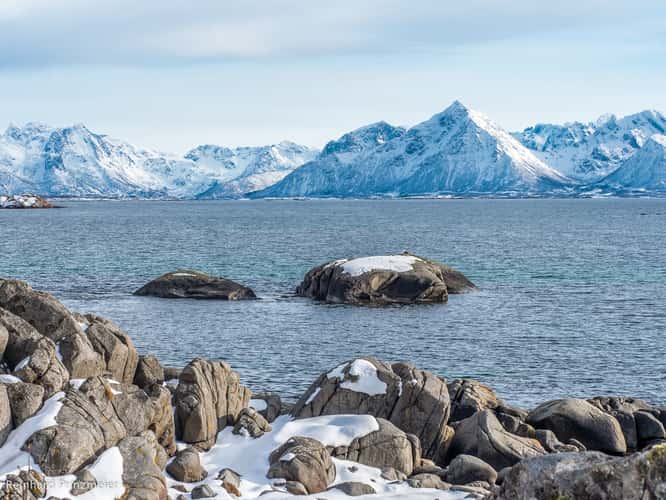Kollvika, Hadseløya Island