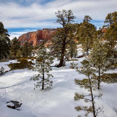 Kolob Terrace Rd, USA