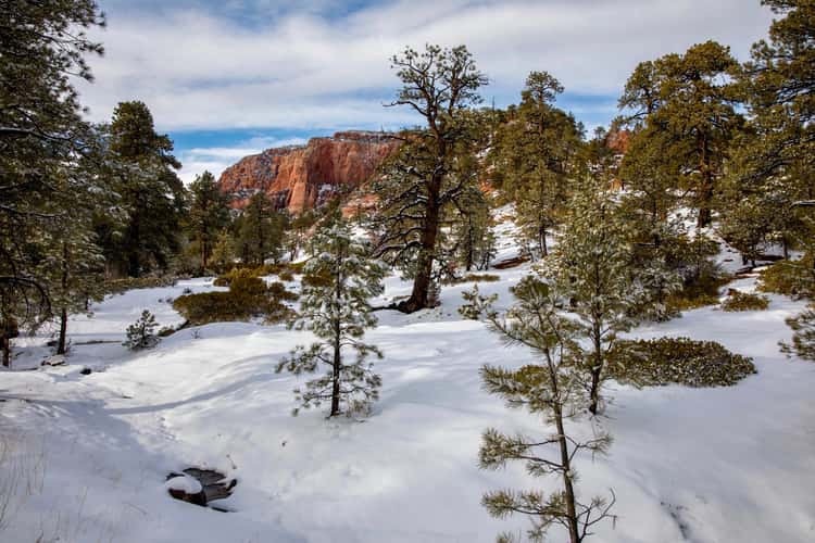 Kolob Terrace Rd