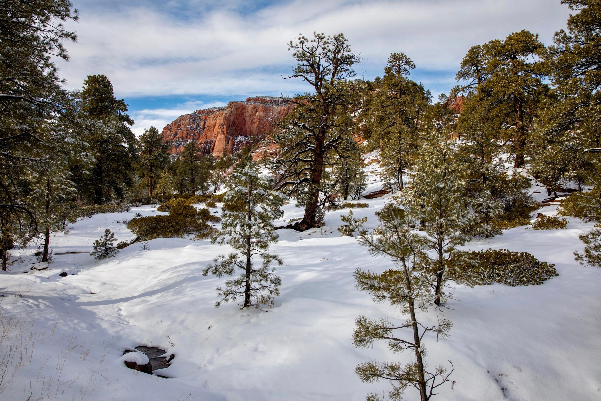 Kolob Terrace Rd, USA