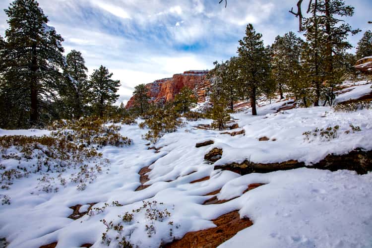 Kolob Terrace Rd