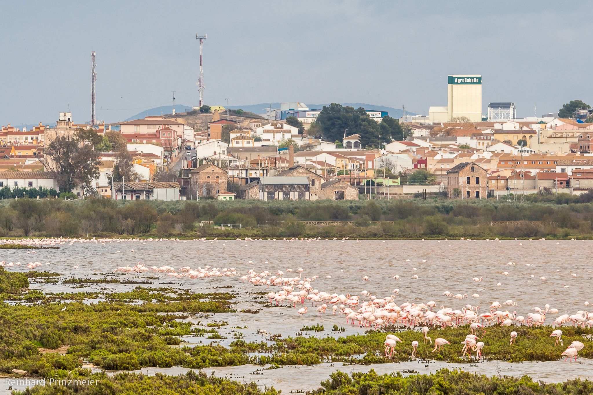 Laguna de la Fuente de Piedra, Spain