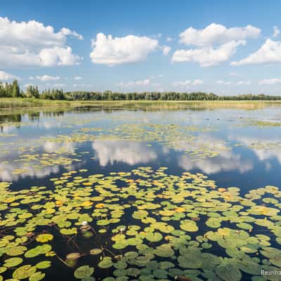 Lake Lubāns, Latvia