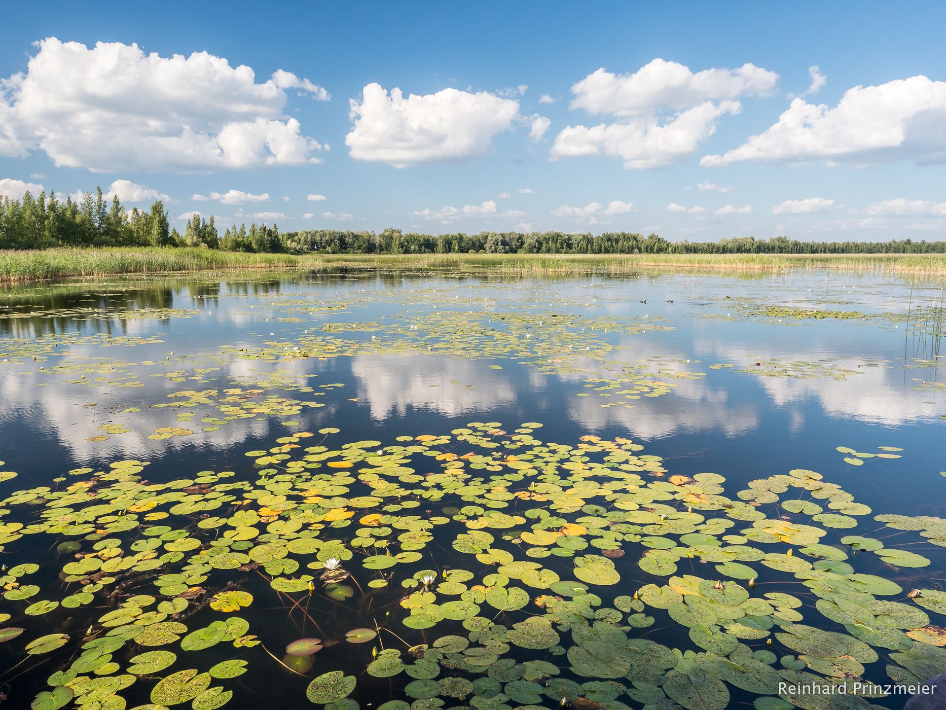 Lake Lubāns, Latvia