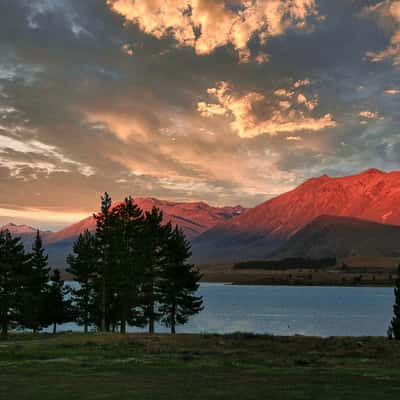 Lake Tekapo, New Zealand