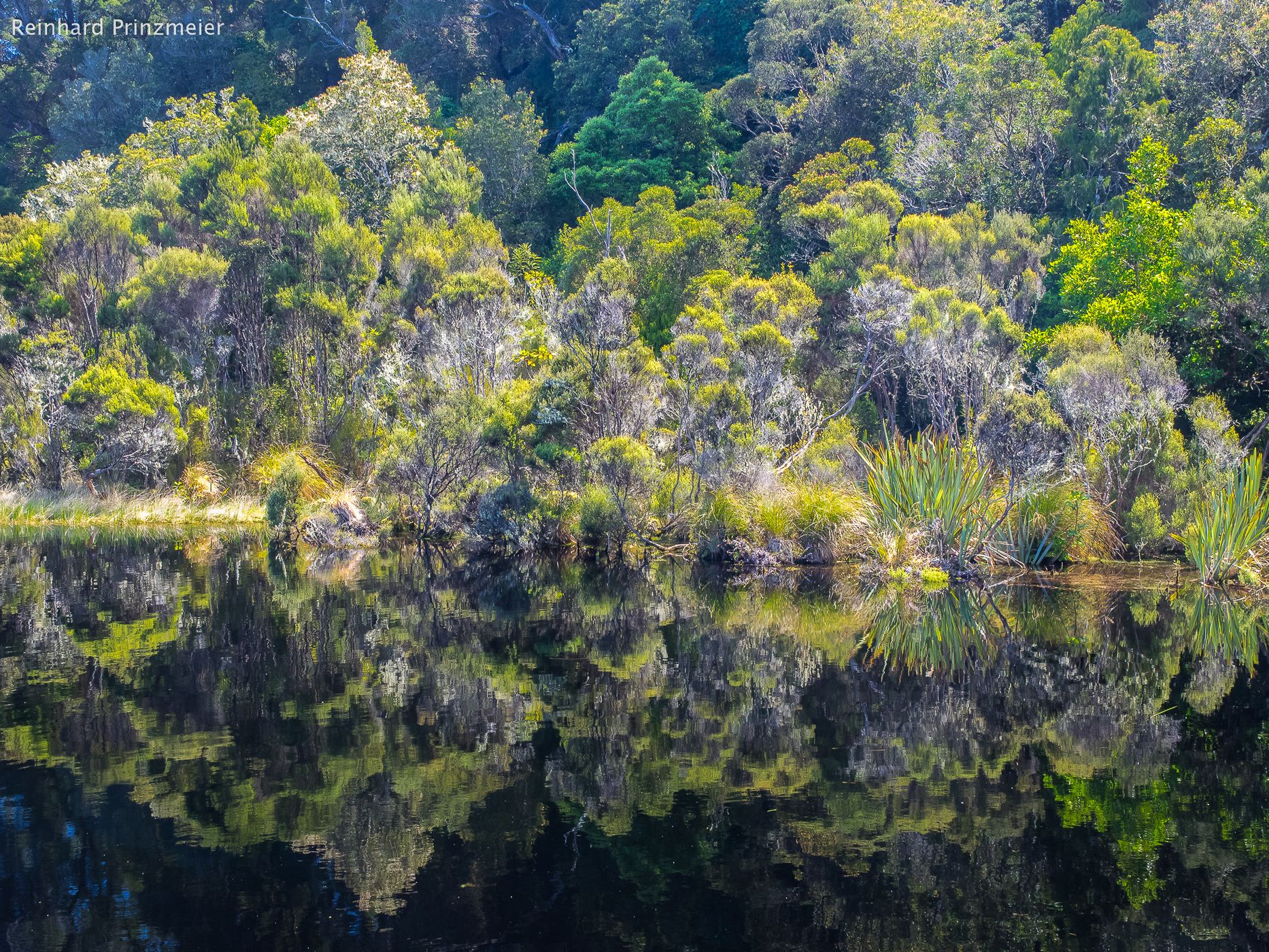 Lake Wilkie, New Zealand