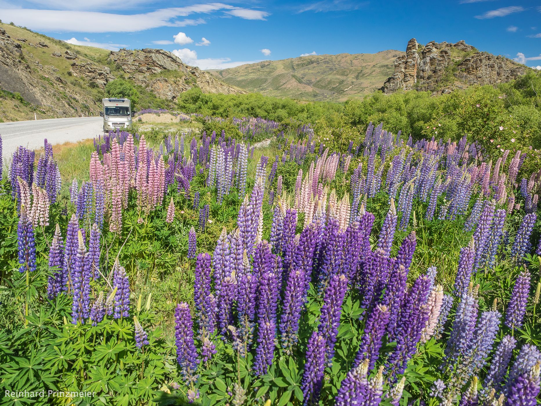 Lindis Valley, New Zealand