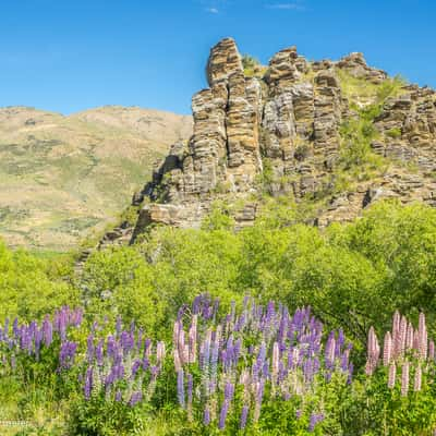 Lindis Valley, New Zealand