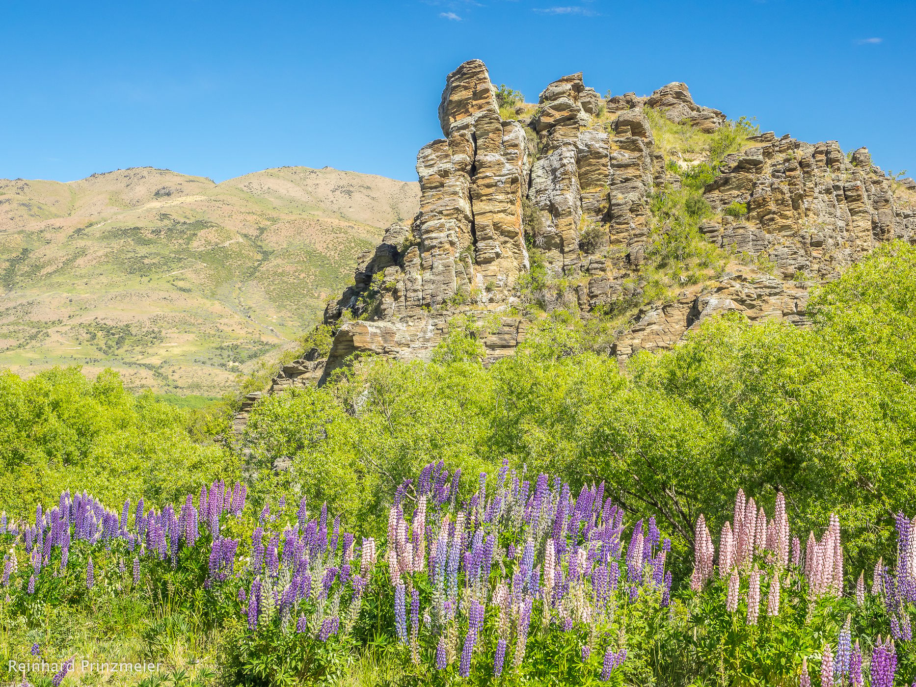 Lindis Valley, New Zealand