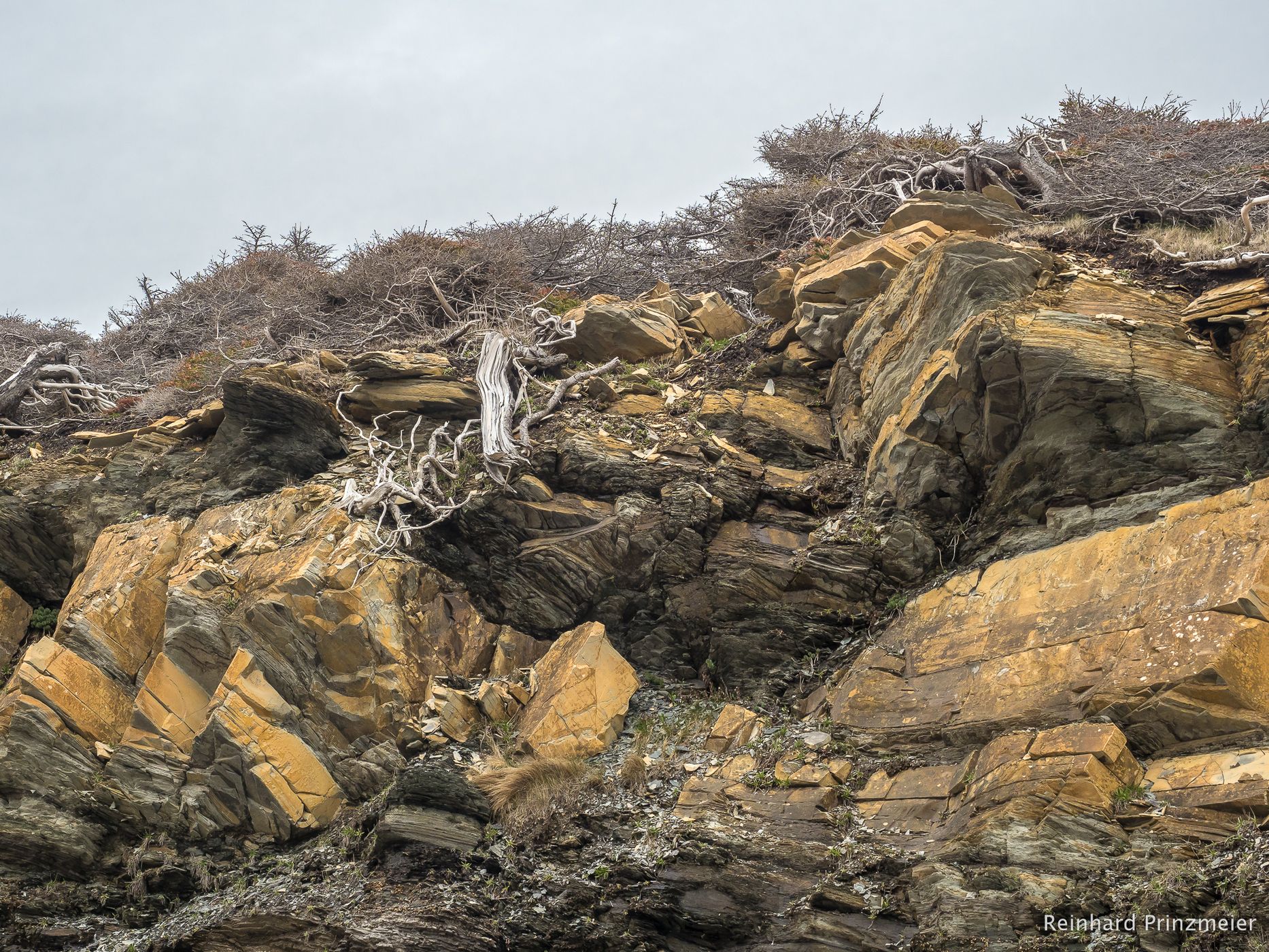 Lobster Cove Head, Canada
