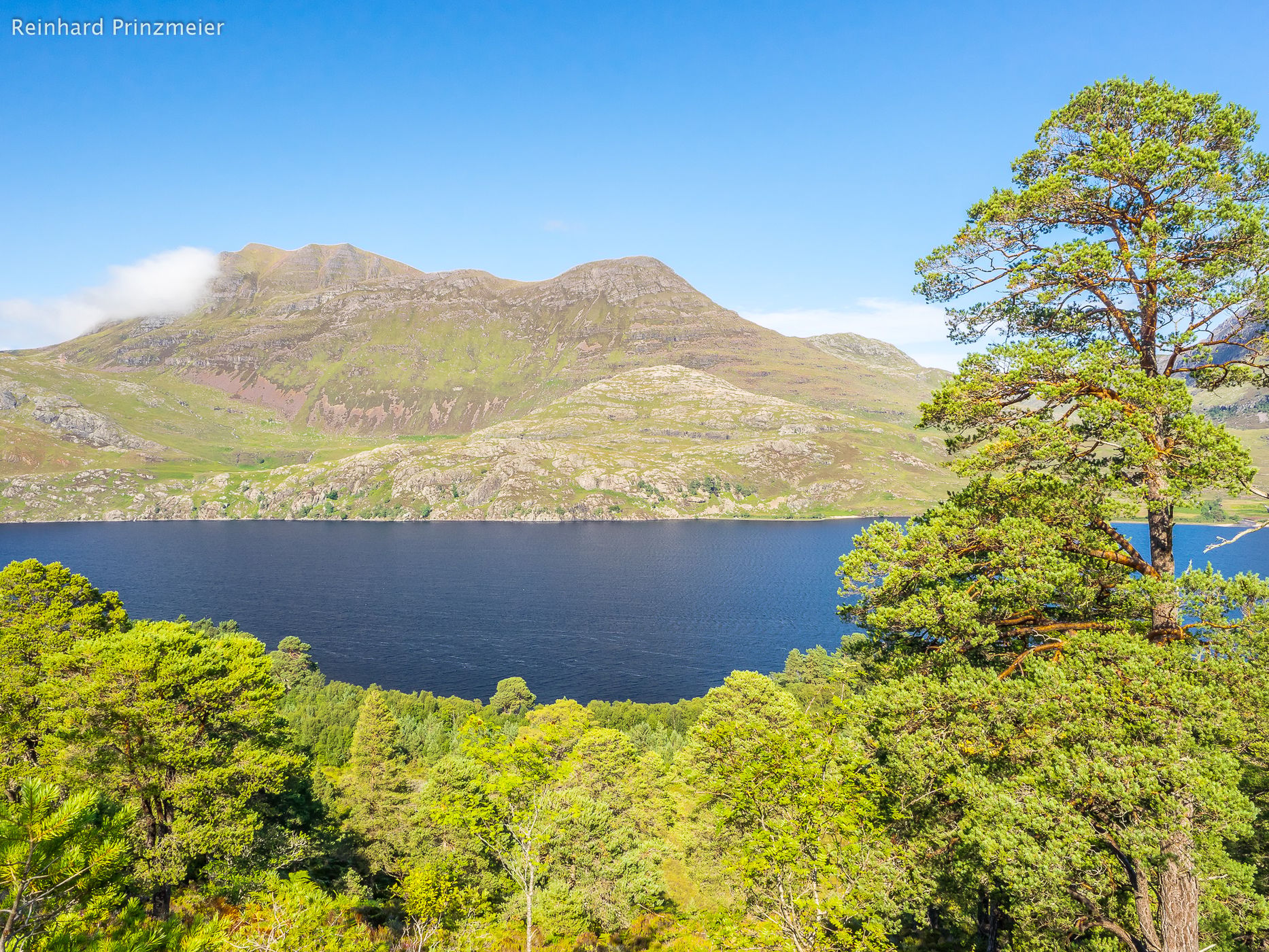 Loch Maree Woodland Trail, United Kingdom