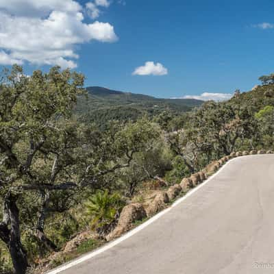 Los Alcornocales Nature Park, Spain