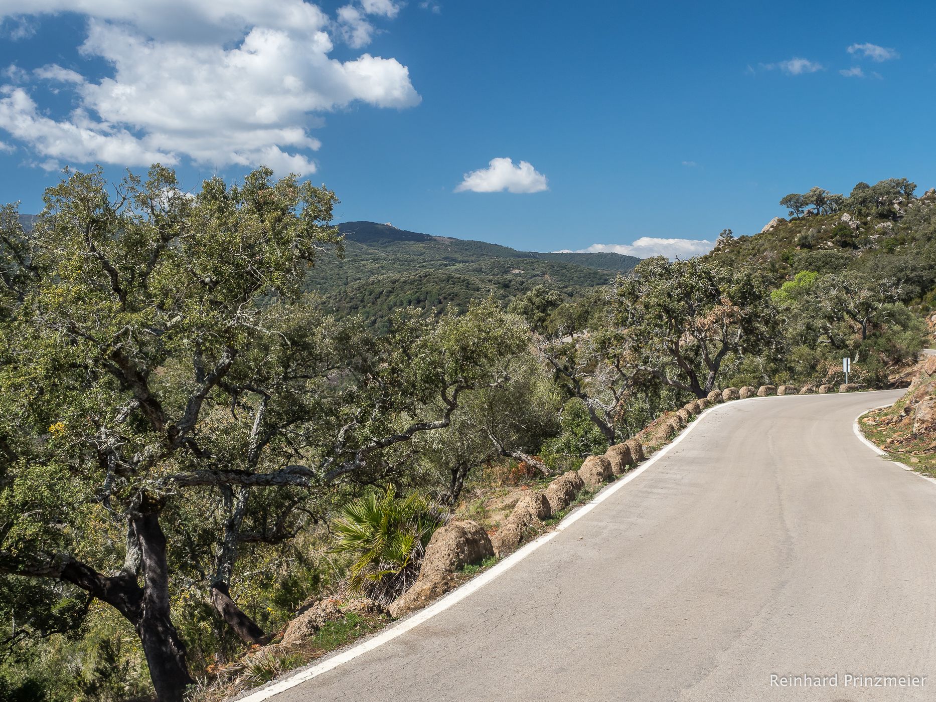 Los Alcornocales Nature Park, Spain