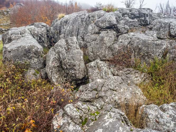 Lovćen National Park