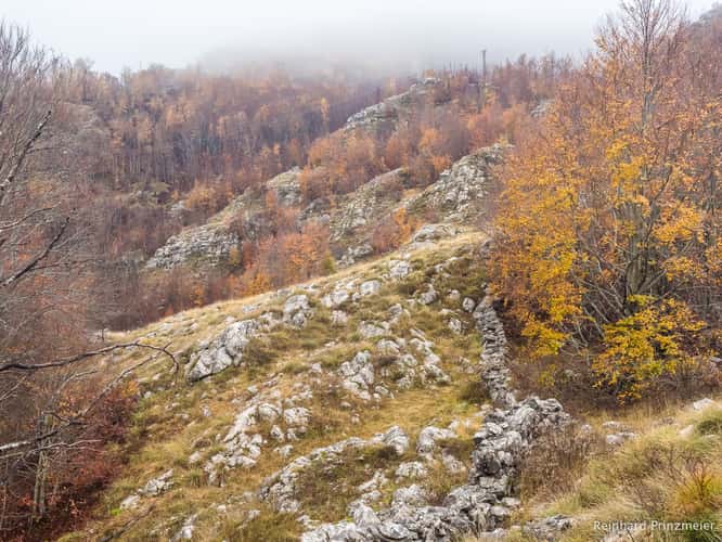 Lovćen National Park
