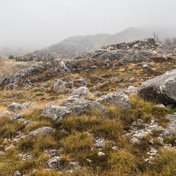 Lovćen National Park, Montenegro