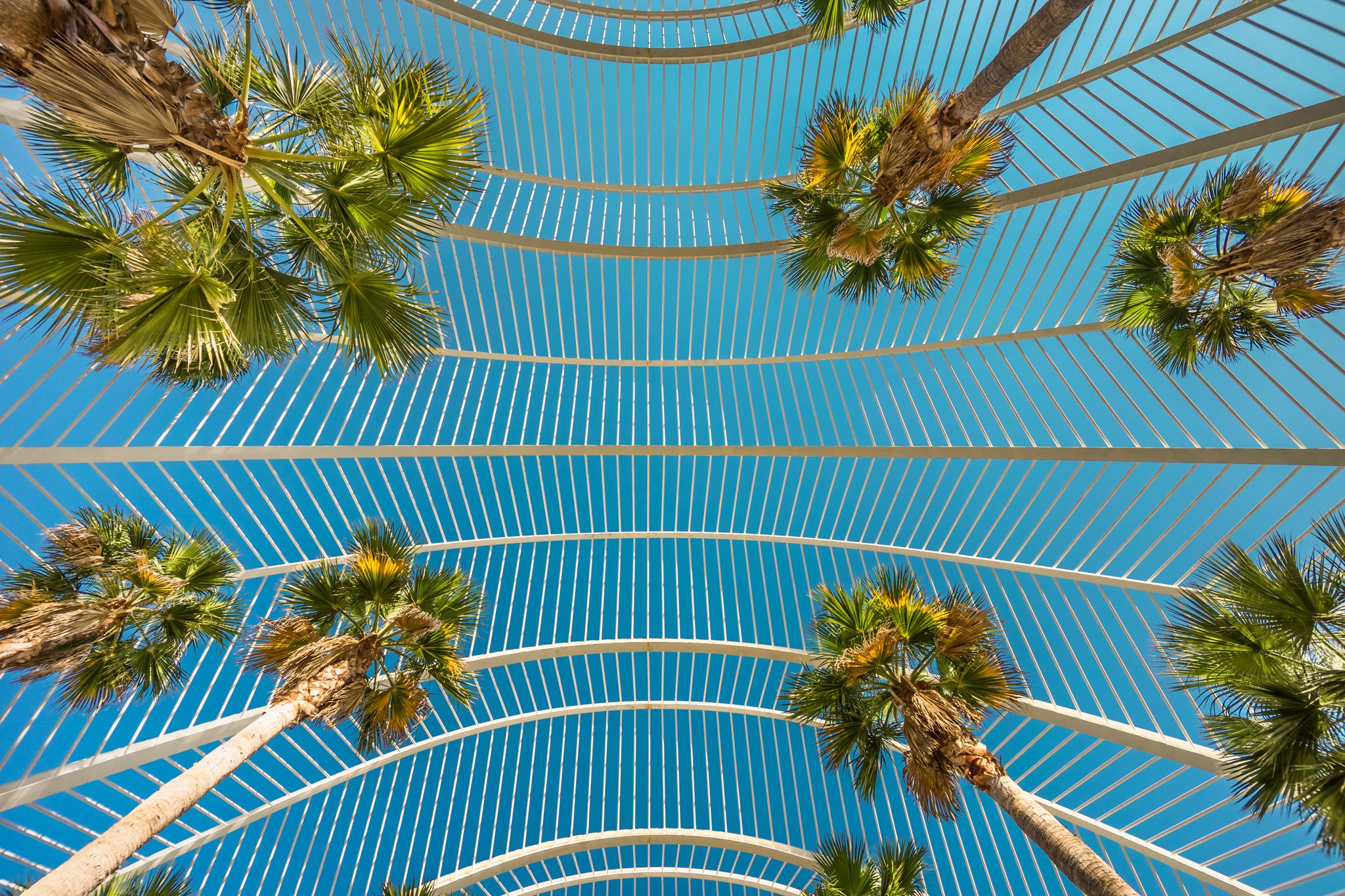 L'Umbracle Roof, Spain