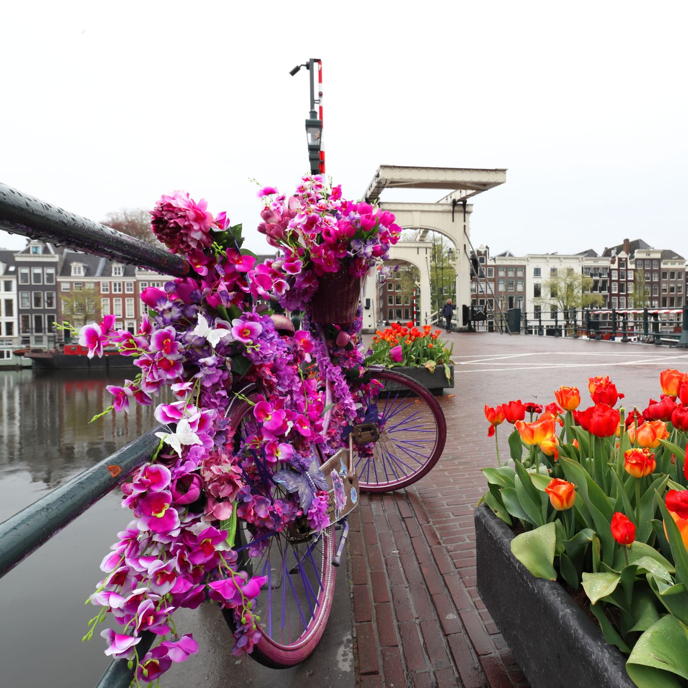 Magere Brug, Netherlands