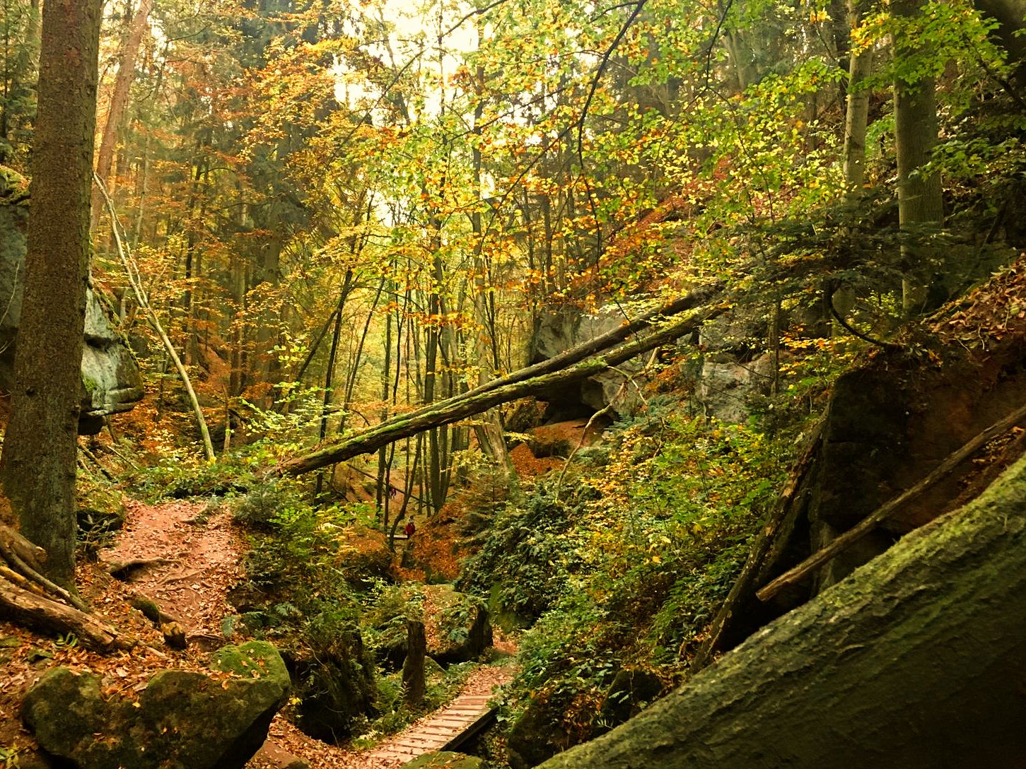 Massendorfer Schlucht, Germany