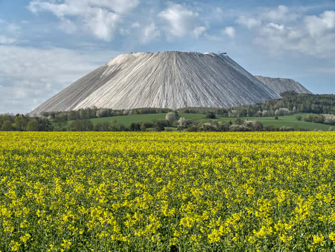 Monte Kali