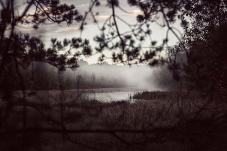 Moor