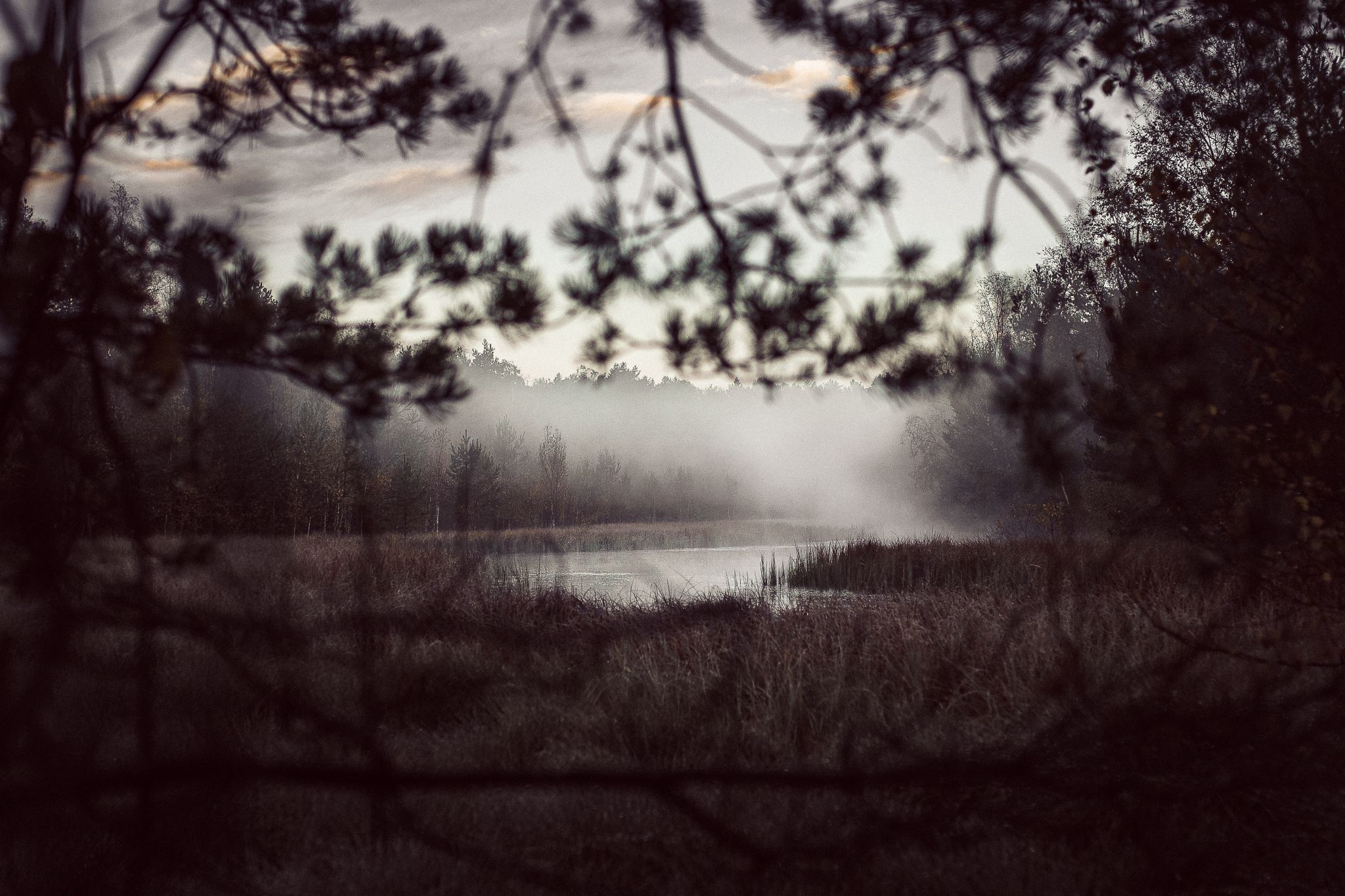 Moor, Germany
