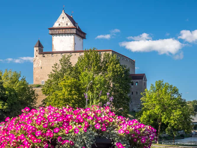 Narva