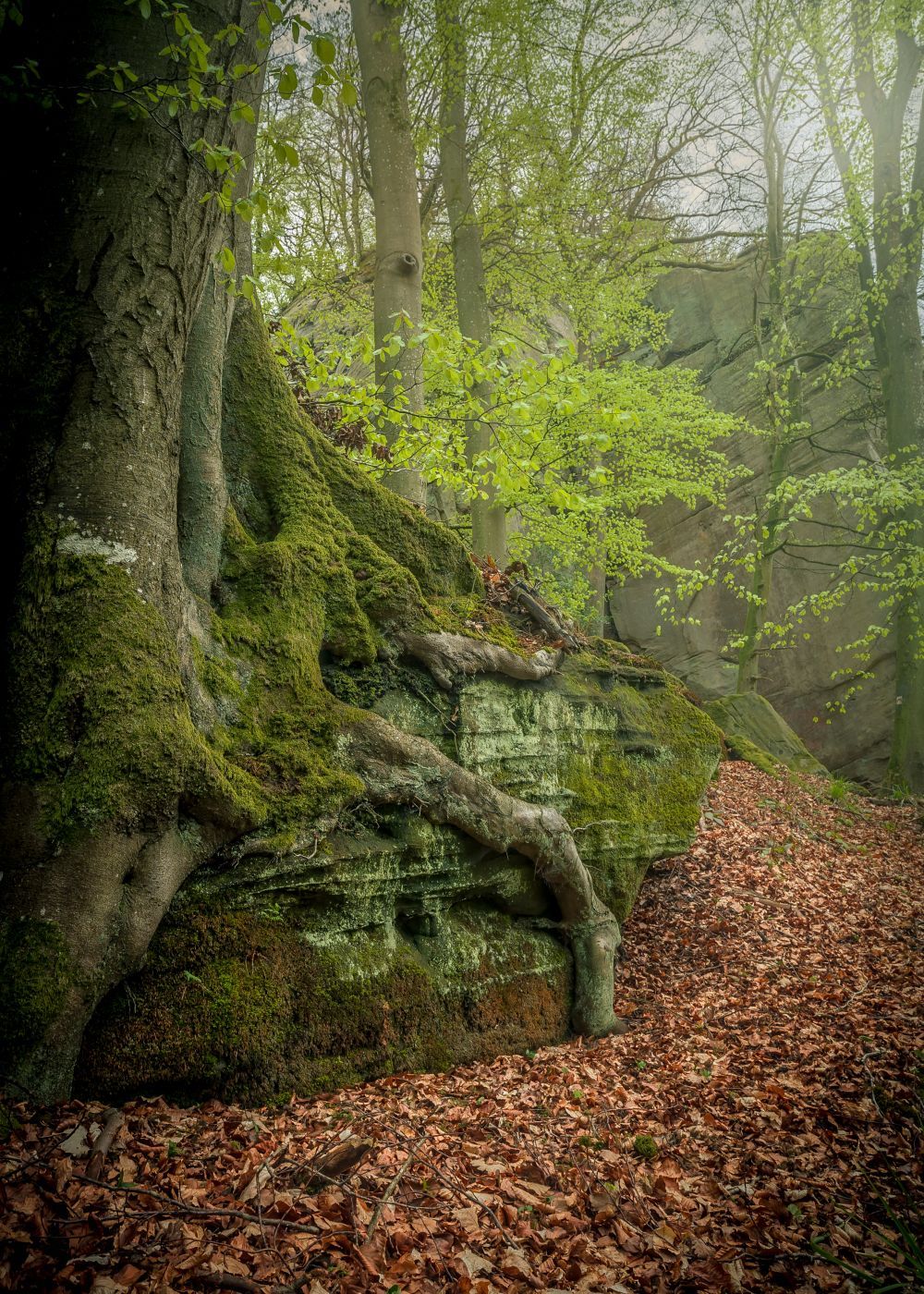 Naturentdeckungspfad, Luxembourg