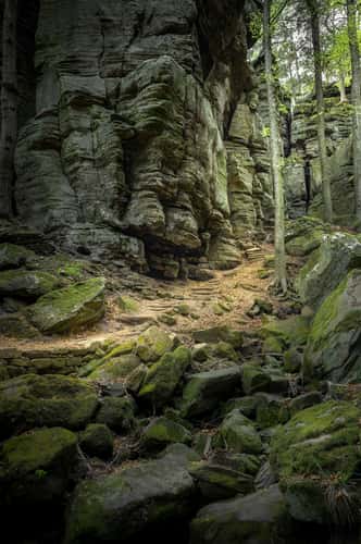 Naturentdeckungspfad