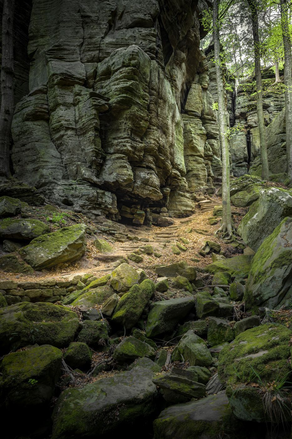 Naturentdeckungspfad, Luxembourg