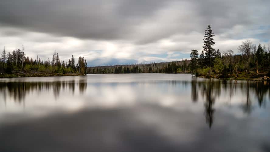 Oderteich, Harz