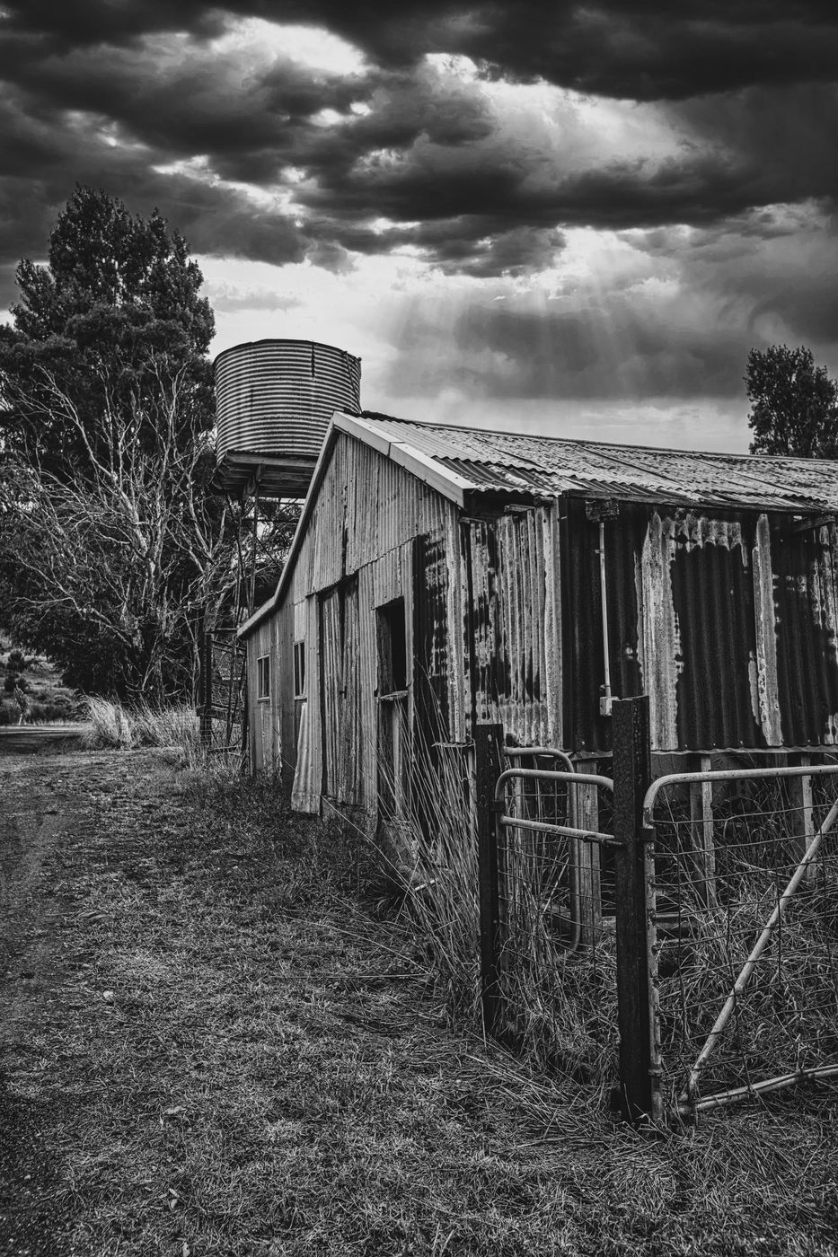 Old Barn & water tower Timboon, Victoria, Australia