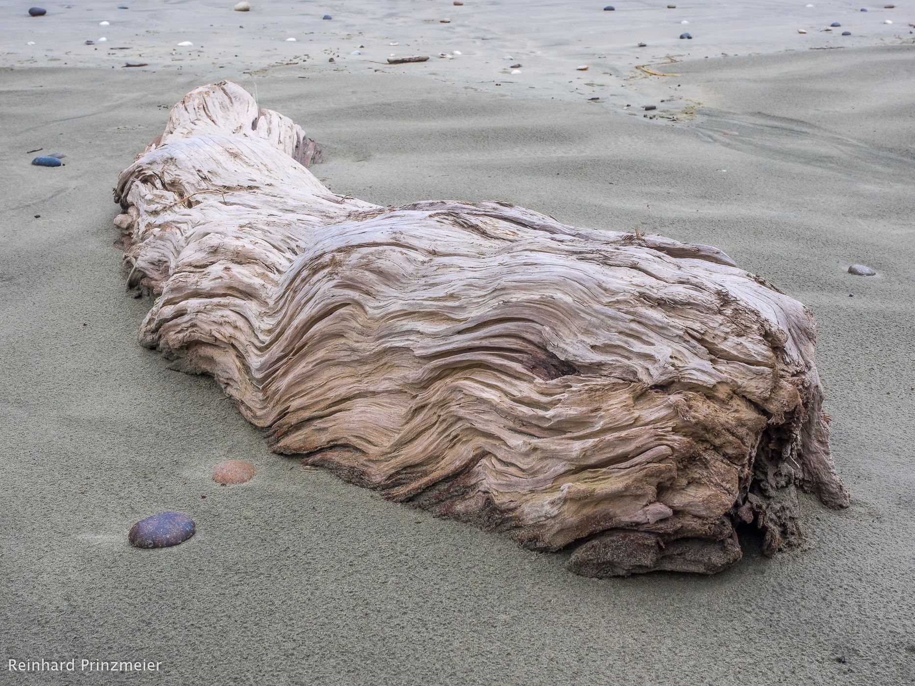Orepuki Beach, New Zealand
