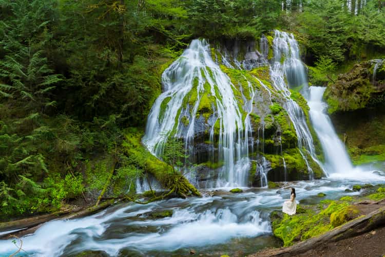 Panther Creek Falls