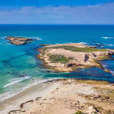 Penguin Island, Beachport, South Australia, Australia