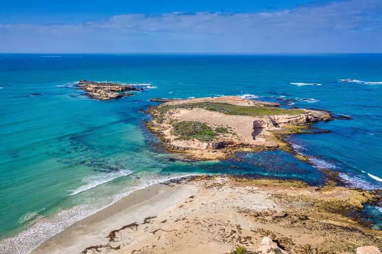 Penguin Island, Beachport, South Australia