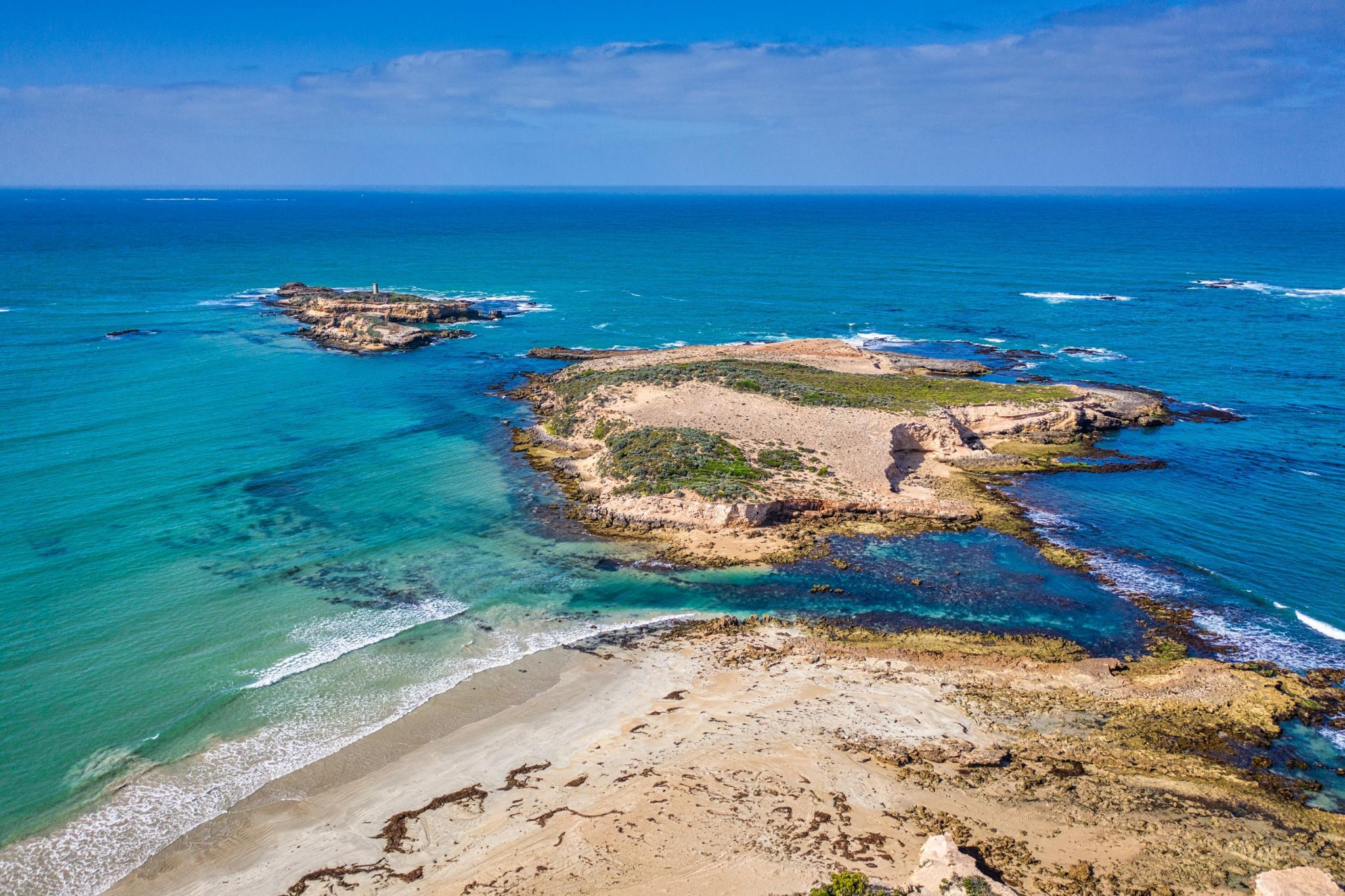 Penguin Island, Beachport, South Australia, Australia
