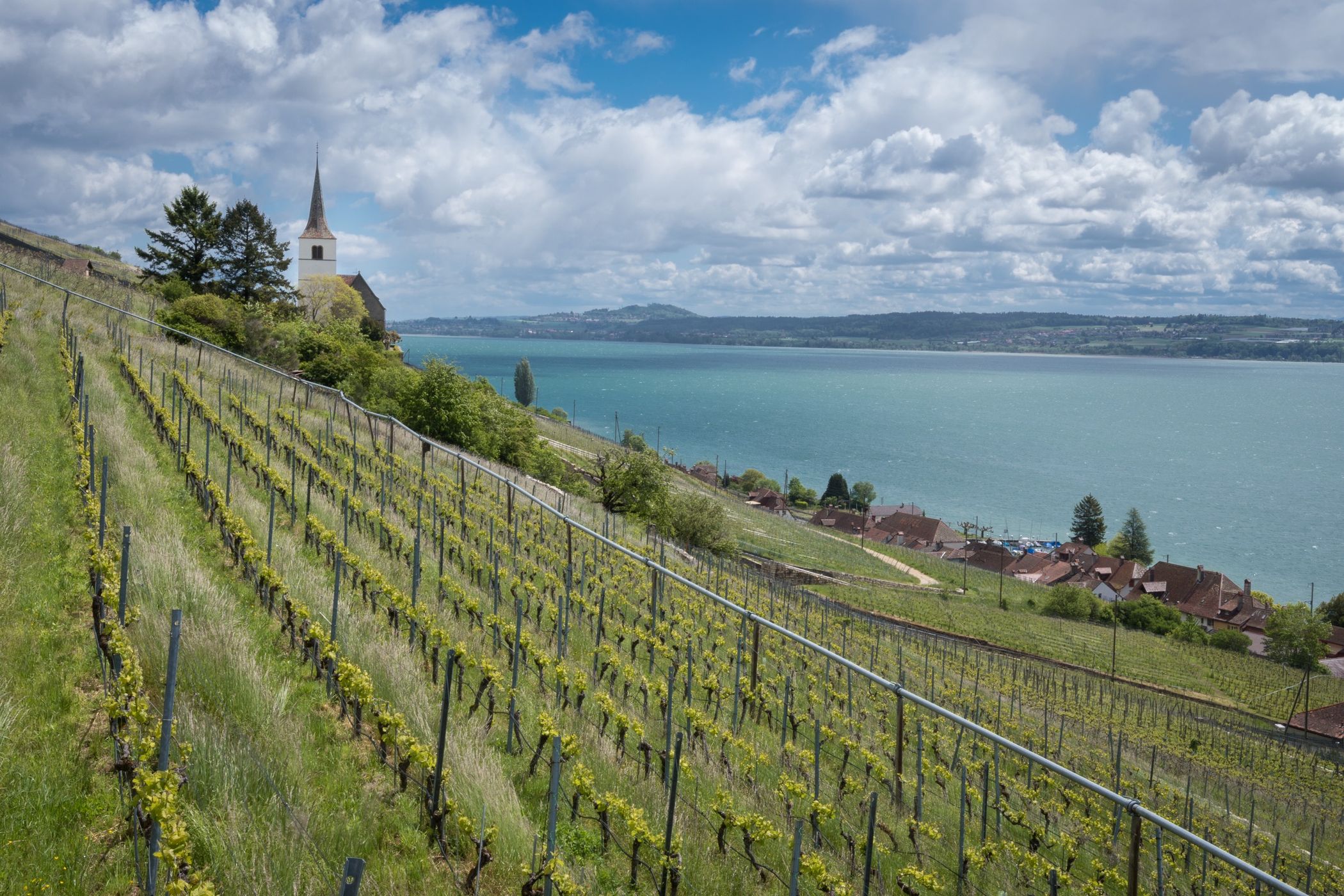 Ligerz at Lake Biel, Switzerland