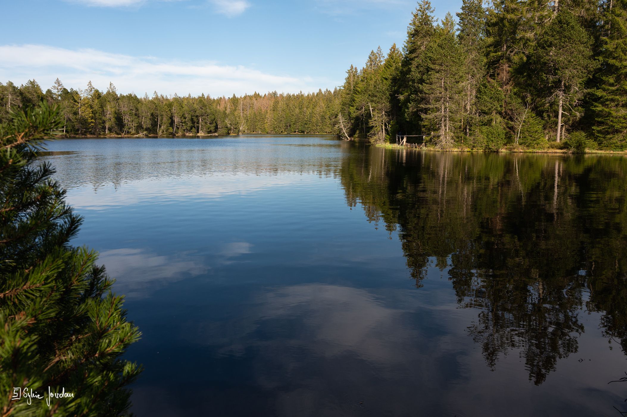 Pond at Saignelégier, Switzerland