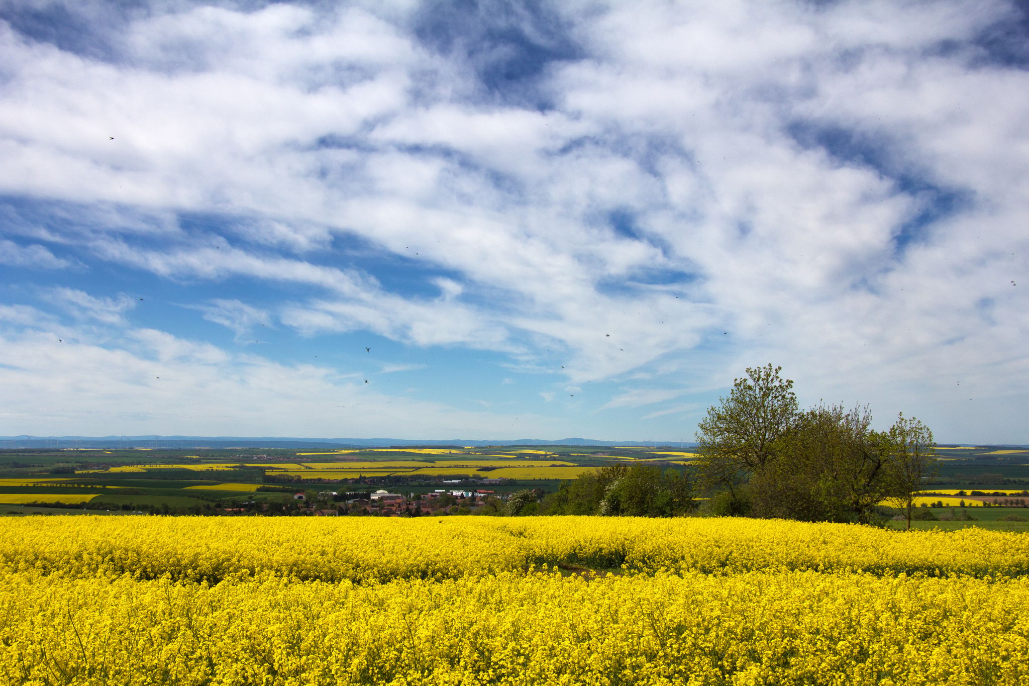 Possen (Südseite / Southern flank), Germany