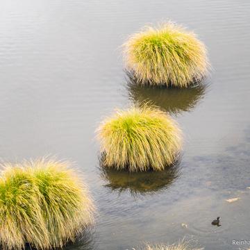 Rakatu Wetlands, New Zealand
