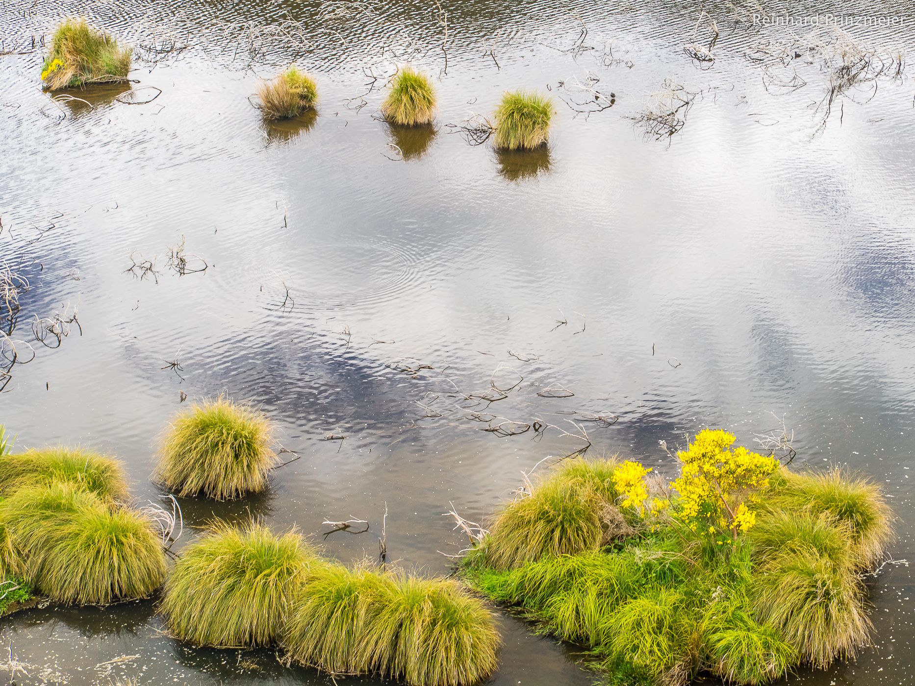 Rakatu Wetlands, New Zealand