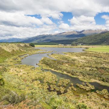 Redcliff Wetland Reserve, New Zealand