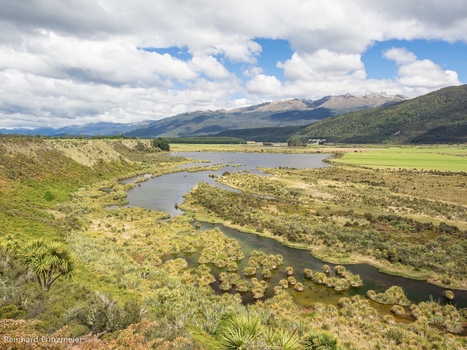 Redcliff Wetland Reserve, New Zealand
