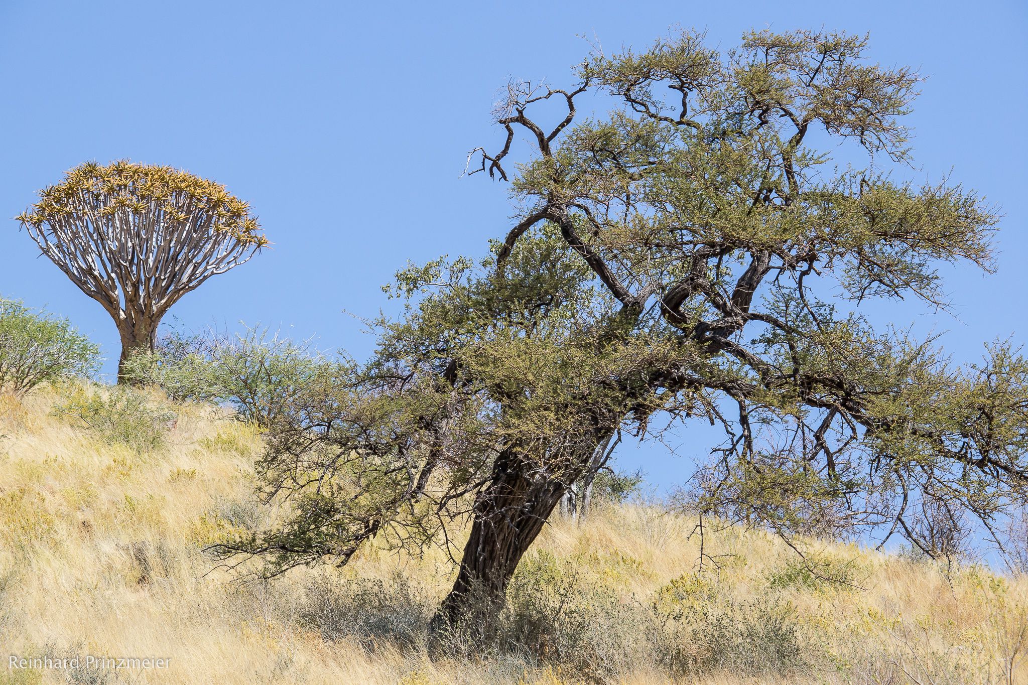 Remhoogte Pass, Namibia