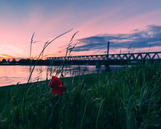 Rheinbrücke Karlsruhe