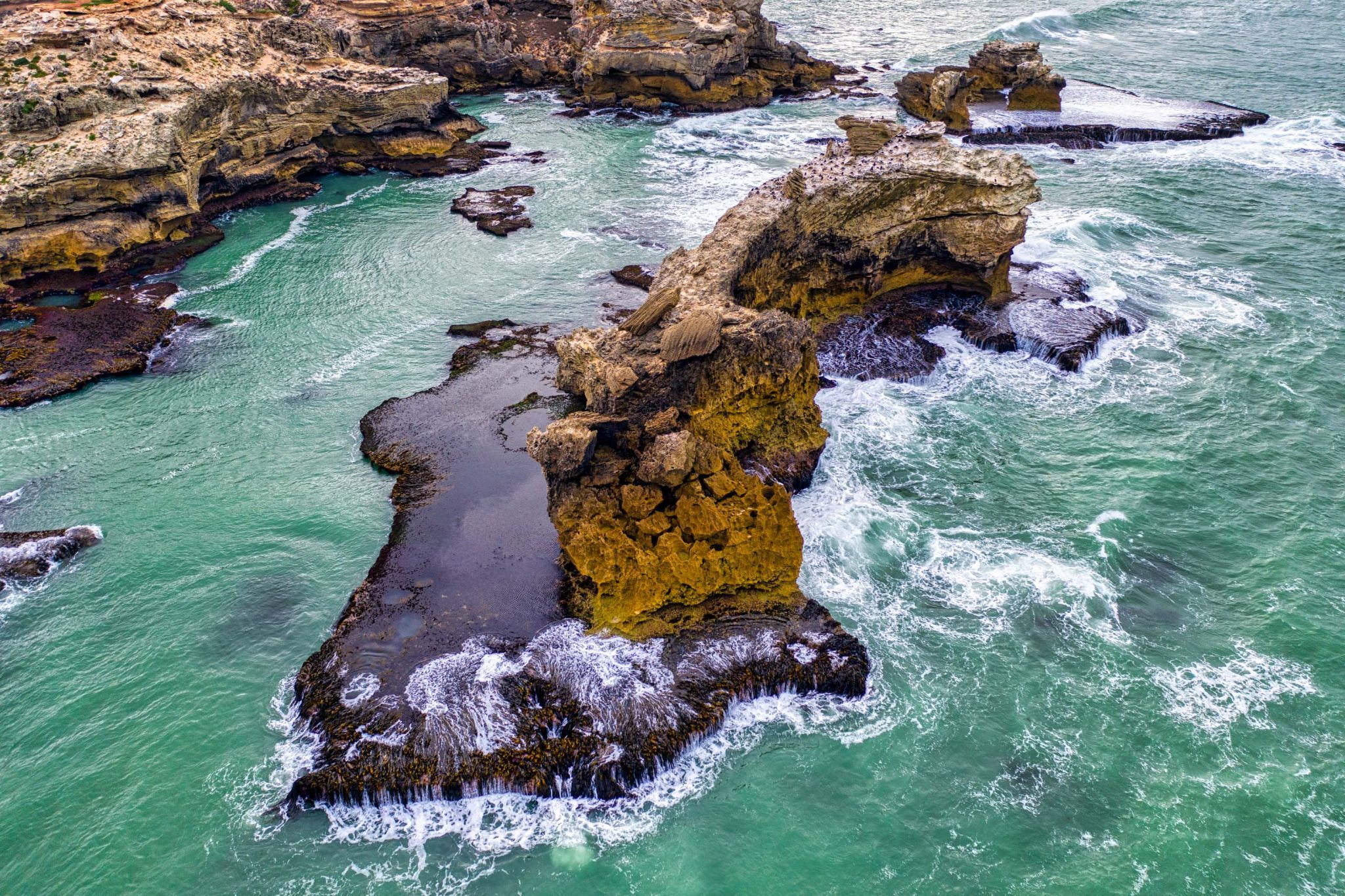 Rhino Rock, Port Macdonnell, South Australia, Australia