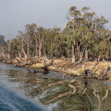 River Murray, Australia