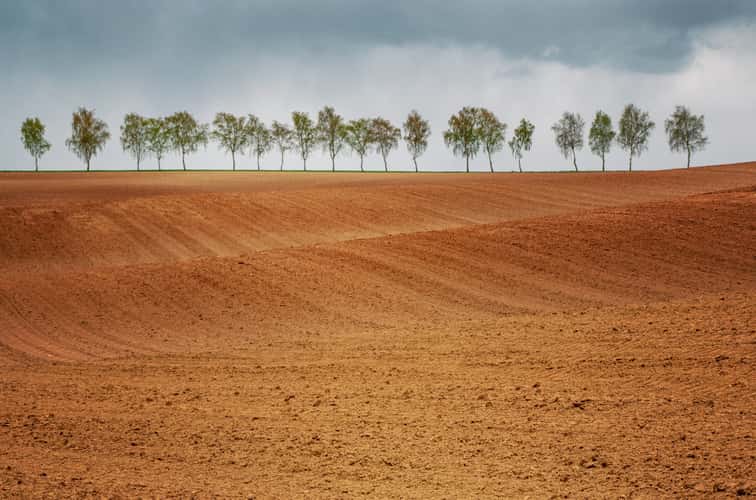 Sachsenhausen, Waldeck, Fields